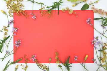 Floral border frame in pastel red color hue for wedding background and spring season.