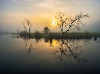 Fototapeta premium Dawn in the river valley. morning fog