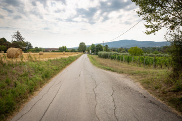 Fototapeta premium a paved road in Scarna village (municipality of Colle di Val d'Elsa), province of Siena, Tuscany, Italy