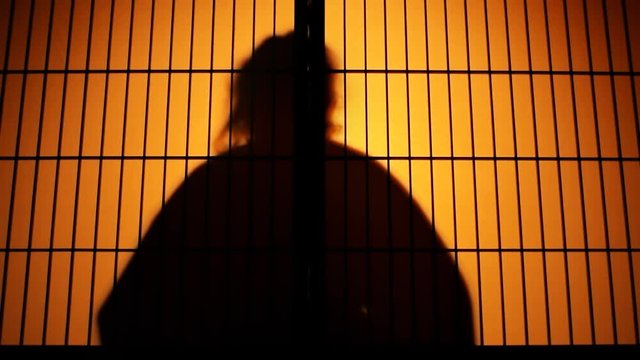 Slow motion of Japanese geisha or maiko silhouette behind sliding paper doors with colorful backlighting doing dance performance, dancing undressing at night in wooden traditional house