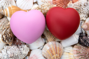 Two hearts shapes on sea shells background
