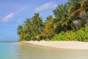 Tropical paradise beach with white sand and coconut palm trees. Summer vacation concept,travel, holiday background.