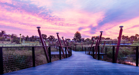 View of Wangal Park in Burwood, NSW, Australia