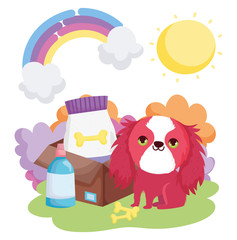 dog with food bones nature landscape pets