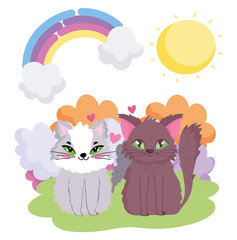 adorable cats sitting in the grass sun theme pets