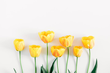 Beautiful composition of tulip, spring flowers. Yellow tulips flowers on white background....