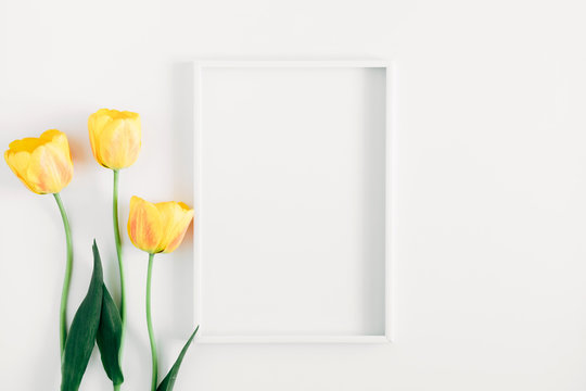 Beautiful composition of tulip, spring  flowers. Blank frame for text, yellow tulip flower on white background. Valentine's Day, Easter, 8th march, Happy Women's Day. Flat lay, top view, copy space