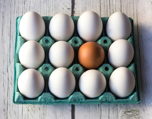 White eggs and one brown on blue cardboard, on a white wooden background
