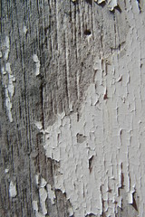 Old paint wood background texture