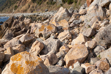 野間池海岸の岩場	
