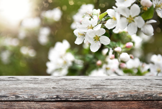 Empty Old Wooden Table Background