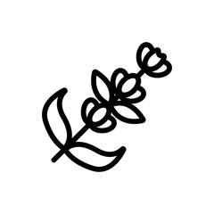 Lavender flower icon vector. Thin line sign. Isolated contour symbol illustration