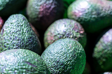 Group of Avocado heap on open market.