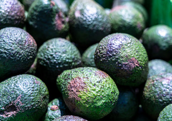 Group of Avocado heap on open market.