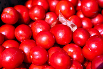 Group of fresh tomatoes; Tomato background