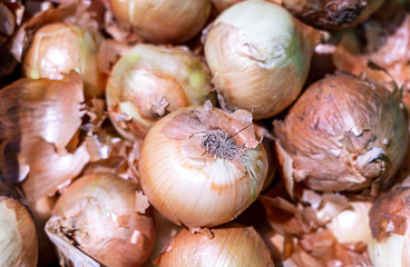 Fresh whole Onions at the market; background