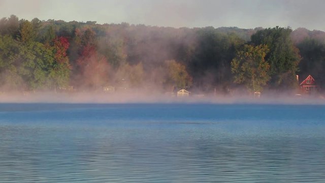 Comorant flies across lake as fog rises on peaceful morning 