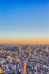 Skyline of Tokyo City in Japan at Blue Hour.