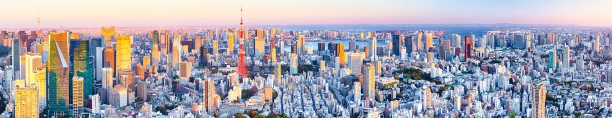 Exciting Spectacular Panoramic View of Tokyo Skyline at Blue Hour in Japan with a Line of Skyscrapers And Renowned Tokyo Tower.