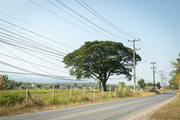 Country road with electricity poles on the side.