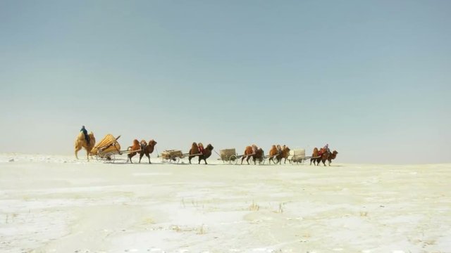 A caravan of camels walking in the desert