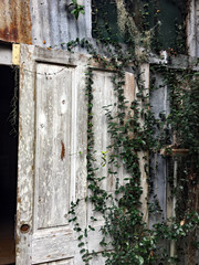 Environment affects on farm barn in Florida