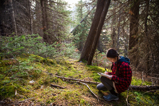 Girl Writing In Journal In Woods