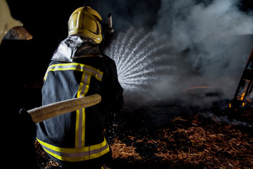 Fototapeta premium Fire station crew in action