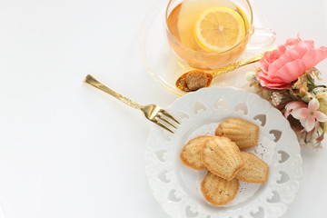 French confectionery, Madeleine cake on dish with copy space 