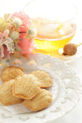 French confectionery, Madeleine cake on dish with copy space 