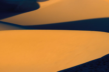Sand Dune Abstract 2
