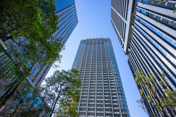 Fototapeta premium 東京 汐留 高層ビル群の風景