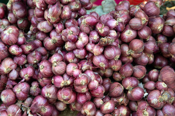 Background and texture of organic red onions with uneven shapes and rough red skins..