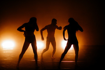 Artistic ballet group