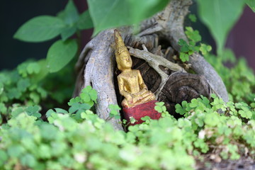 buddha statue on the tree