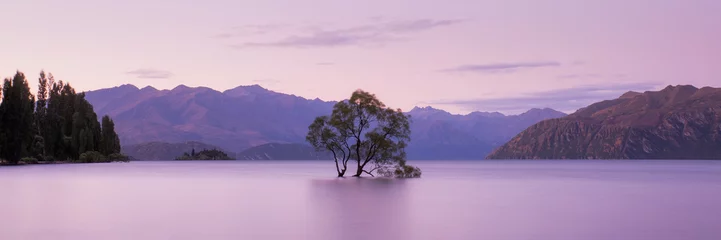 Papier Peint photo autocollant Rose clair Cet arbre Wanaka au coucher du soleil, le lac Wanaka en Nouvelle-Zélande, destination de voyage populaire South Island, NZ