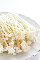 Japanese food ingredient, Enokitake Mushroom