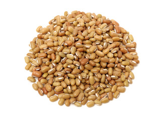 White adzuki bean isolated on white background