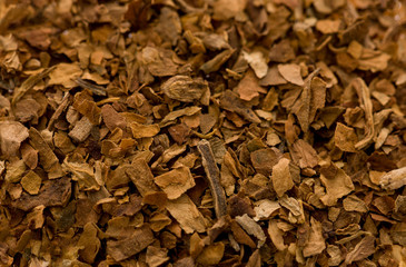 Smoking tobacco isolated