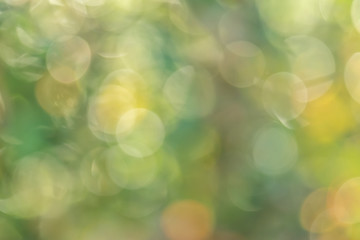 Obraz premium Beautiful blurry green and yellow nature background, Sunlight shining through the leaves of trees, Natural blurred background, Abstract nature background, Nature green bokeh.