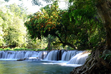 forest and waterfall.