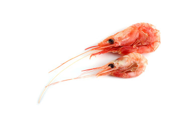 Shrimps isolated on white