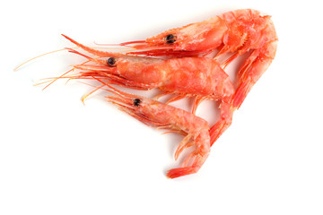 Shrimps isolated on white