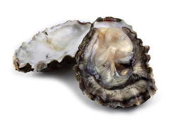 Opened oyster isolated on white