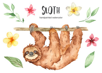 Watercolor cute animal sloth and tropical flowers and leaves © MarinaErmakova