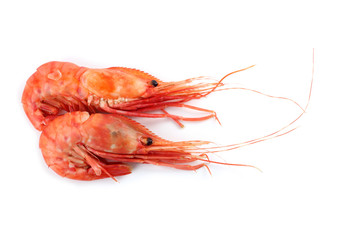 Shrimps isolated on white