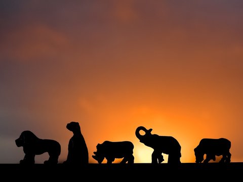 Silhouette of the Big 5 at sunset