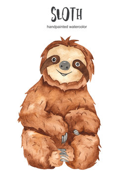 Watercolor cute baby animal sloth sitting