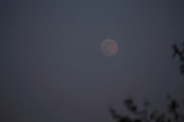 Moon on evening sky