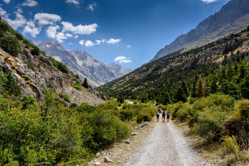 Turkey, Chamard - August 3, 2019: Tourists walk along the road through the mountain landscape in the Turkish national Park aladag in summer day, view from the back